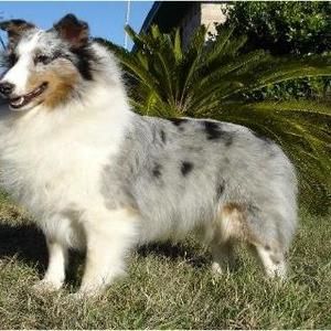 Meet your Posher, Martha